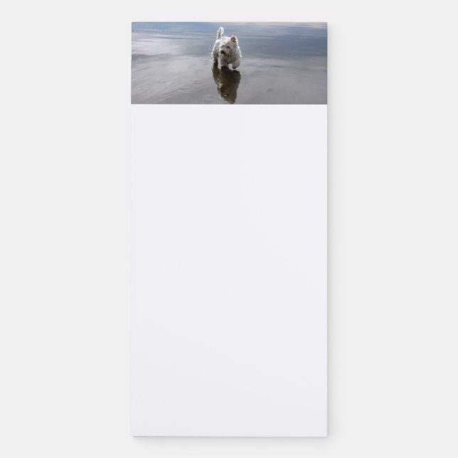 Beach Westie Reflection Photo Magnetic Notepad (Front)