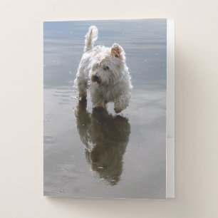 Beach Westie Reflection Photo Pocket Folder