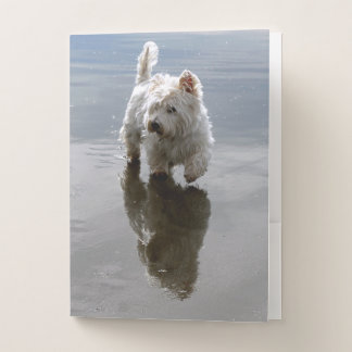 Beach Westie Reflection Photo Pocket Folder