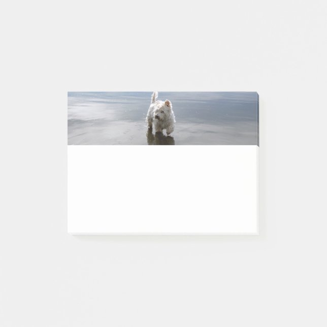 Beach Westie Reflection Stationery Notes (Front)