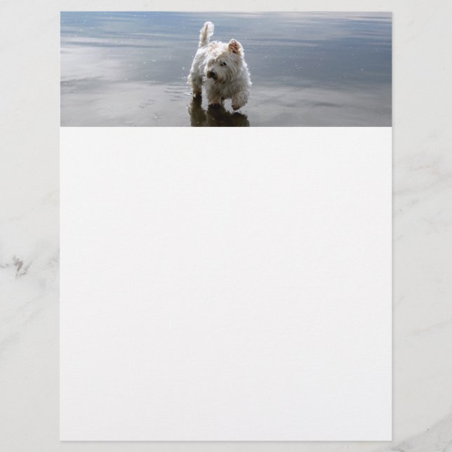 Beach Westie Reflection Stationery Paper (Front)