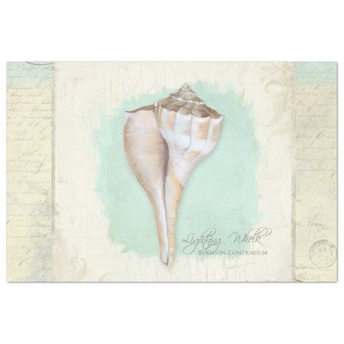 Beach Whelk Shell Aqua Blue Watercolor Decoupage Tissue Paper