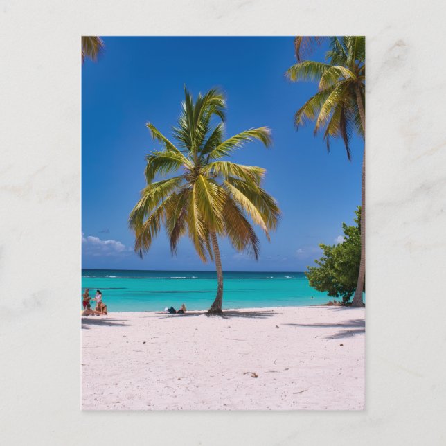 Beach, White Sand, Palm Trees Summer Vacation Postcard (Front)