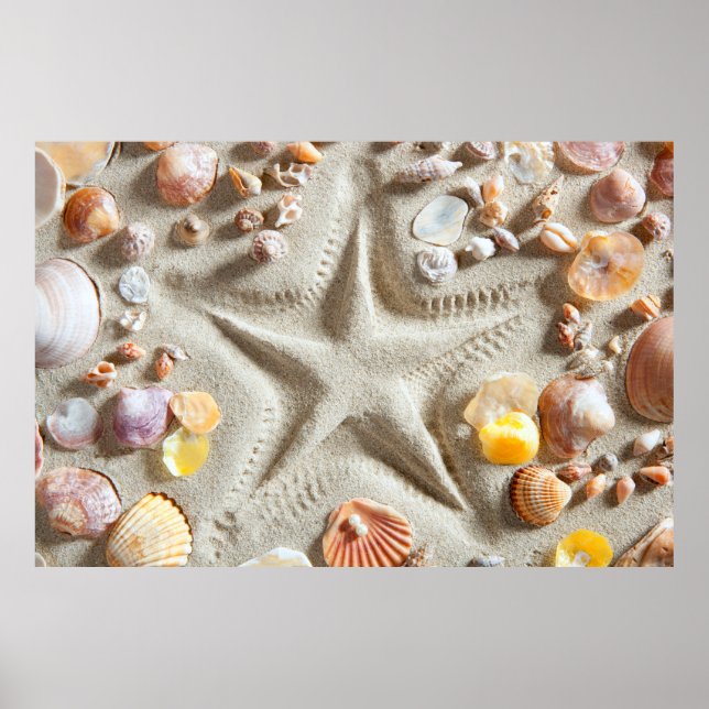 Beach White Sand Seashells Poster (Front)