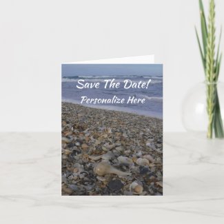 Seashell Weddings Save The Date