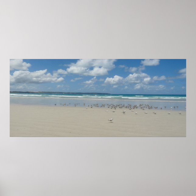 Beach with Seagulls Poster (Front)