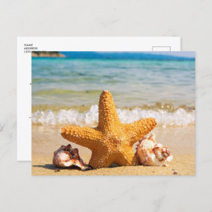 Beach with Starfish and Seashells Bridal Shower Invitation Postcard