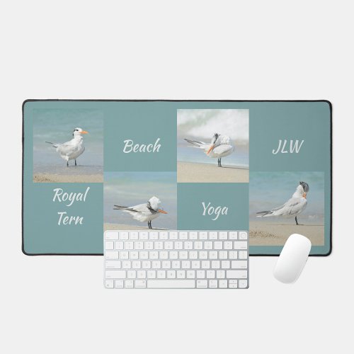 Beach Yoga Seabirds Terns Photographic Desk Mat