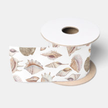 Beachcomber Seashells in Neutral Colors