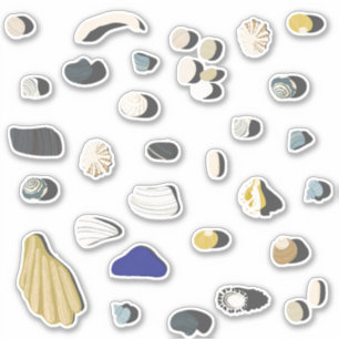 Beachcombing Shells and Pebbles Sticker