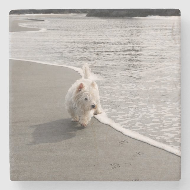 Beachcombing Westie Dog Photo Stone Coaster (Front)