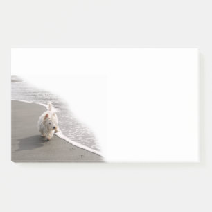 Beachcombing Westie Photo 10x6 Notes
