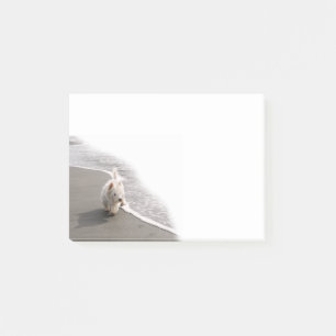 Beachcombing Westie Photo 4x3 Notes