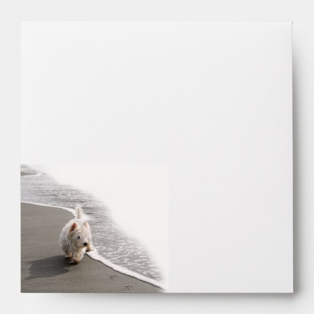 Beachcombing Westie Photo 5x5 Envelope (Front)