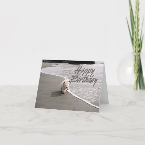 Beachcombing Westie Photo Birthday Card