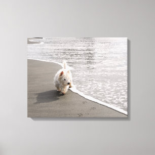 Beachcombing Westie Photo Canvas Print