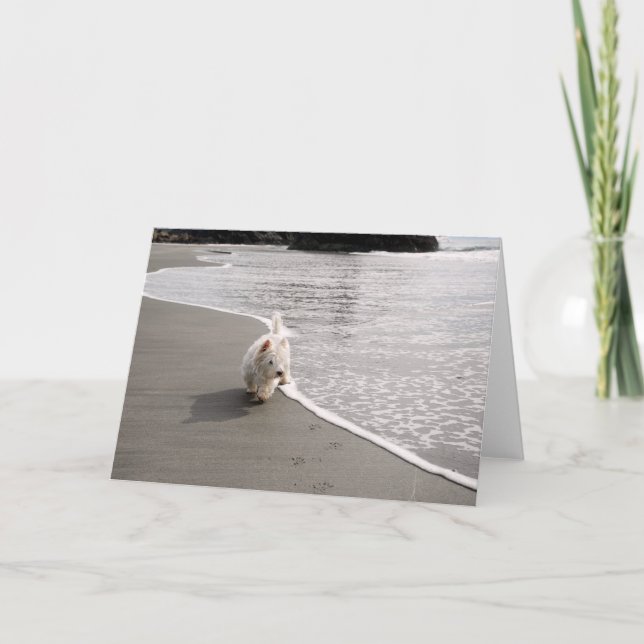 Beachcombing Westie Photo Greeting Card (Front)