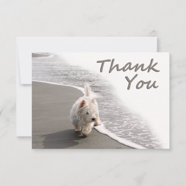 Beachcombing Westie Thank You Card 5"x7" (Front)