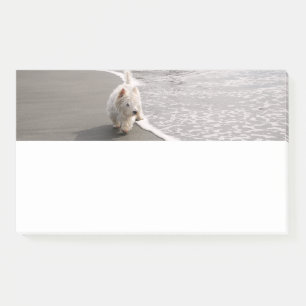 Beachcombing White Westie Dog Photo Stationery Post-it Notes