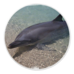Beached Dolphin Ceramic Knob