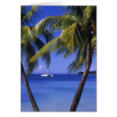 Beaches at Negril, Jamaica (Front)