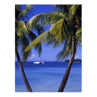 Jamaica Postcards | Zazzle