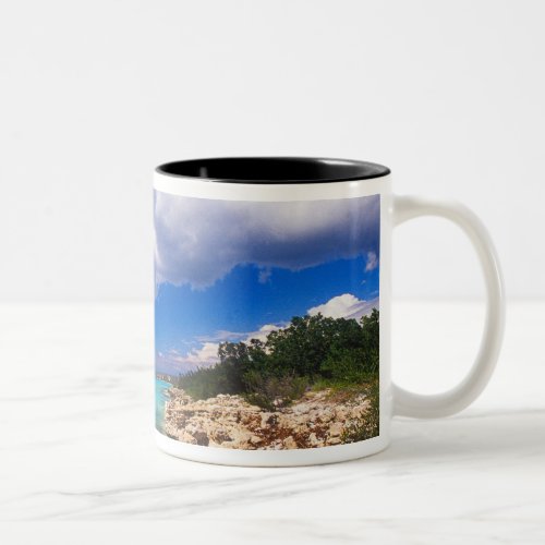 Beaches Barahona Dominican Republic 2 Two_Tone Coffee Mug