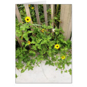 Beachside Dune Flowers and Fence (Front)