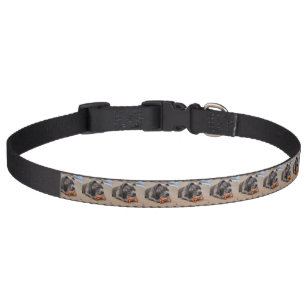 "Beachside Pals: A Staffy and Its Crab Companion" Pet Collar