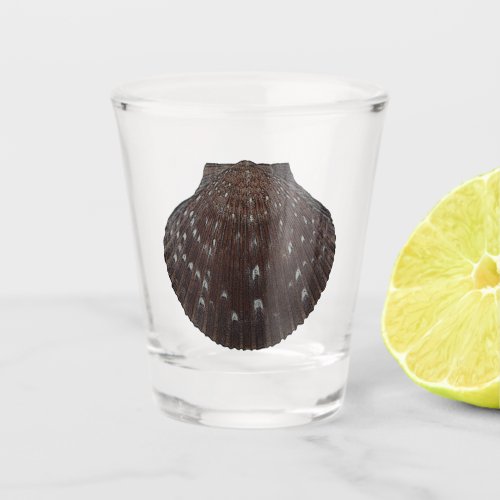 Beachy  Seashell Shot Glass