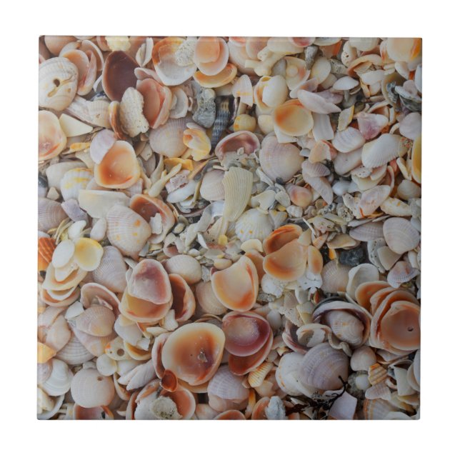 Beachy Seashells Ceramic Tile (Front)