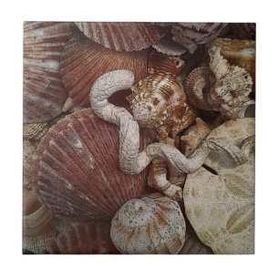 Beachy Seashells Sand Dollar Ceramic Tile