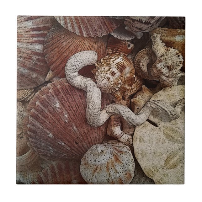 Beachy Seashells Sand Dollar Ceramic Tile (Front)