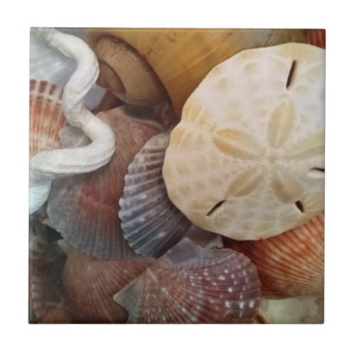 Beachy Seashells Sand Dollar Ceramic Tile