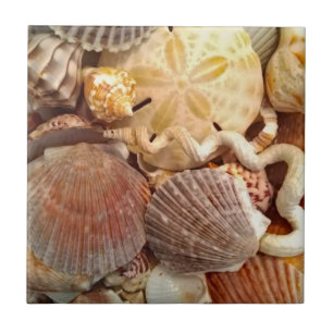 Beachy Seashells Sand Dollar Ceramic Tile