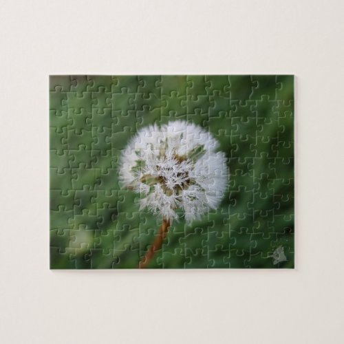 Beaded Dandelion Clock Jigsaw Puzzle