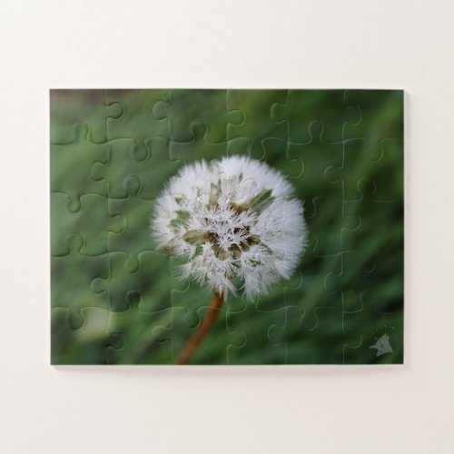 Beaded Dandelion Clock Jigsaw Puzzle