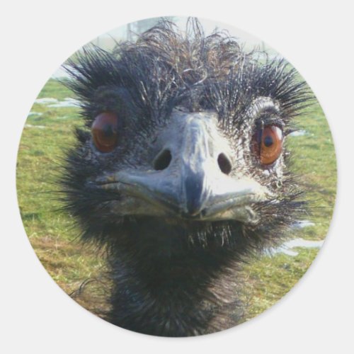 Beady Eyes EMU Classic Round Sticker