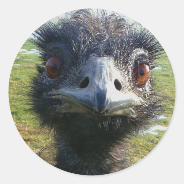 Beady Eyes EMU Classic Round Sticker (Front)