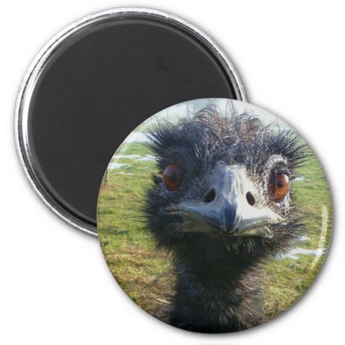Beady Eyes EMU Magnet