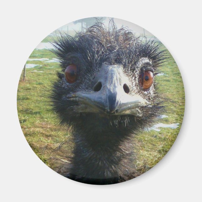 Beady Eyes EMU Magnet (Front)