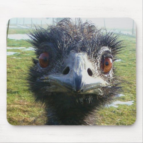 Beady Eyes EMU Mouse Pad