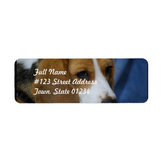 beagle-31.jpg label (Front)