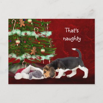 Beagle And Naughty Kitty Christmas Holiday Postcard by deemac2 at Zazzle