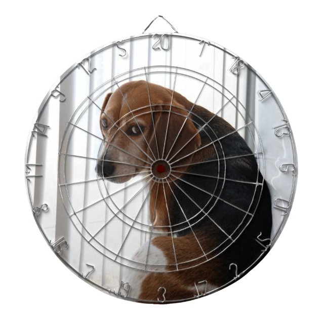 beagle attitude dartboard with darts (Front)