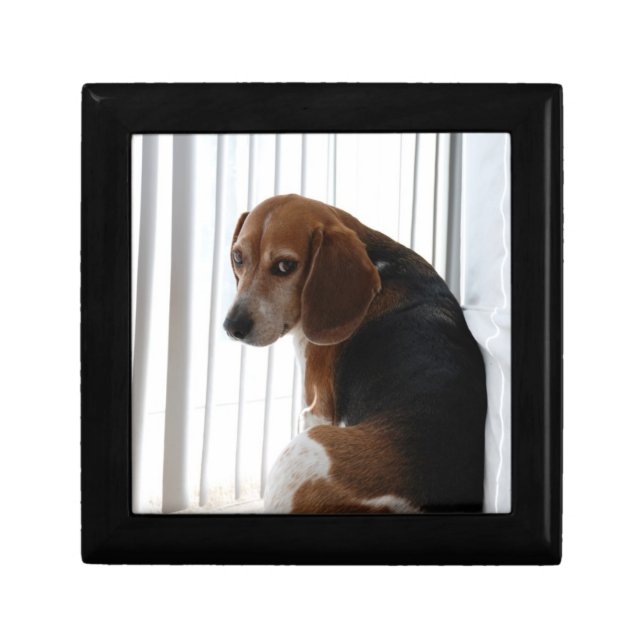 beagle attitude jewelry box (Front)