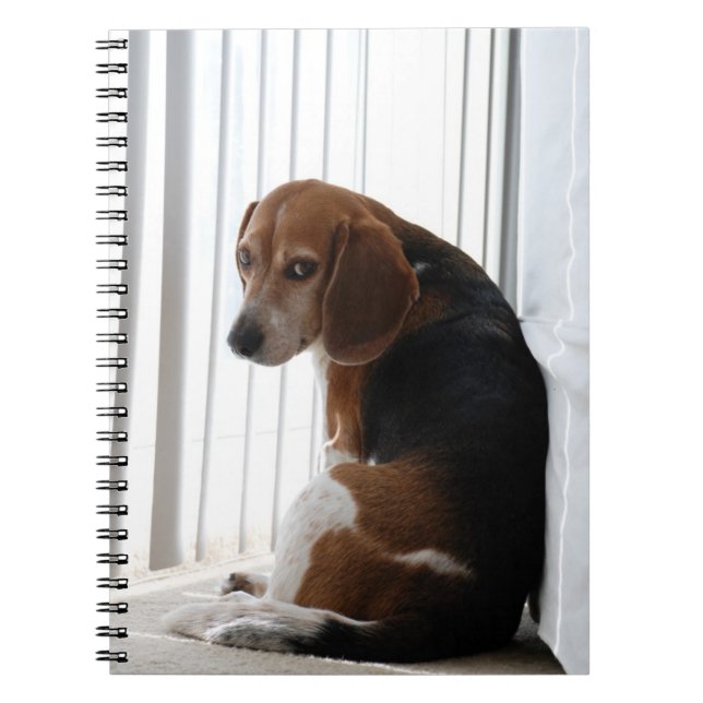 beagle attitude notebook (Front)