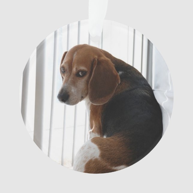 beagle attitude ornament (Front)