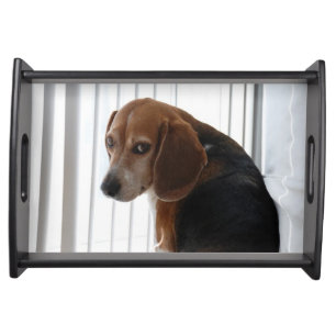 beagle attitude serving tray