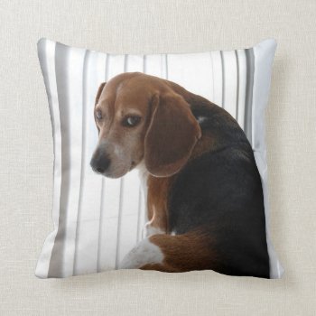 Beagle Attitude Throw Pillow by JLPhotographs at Zazzle